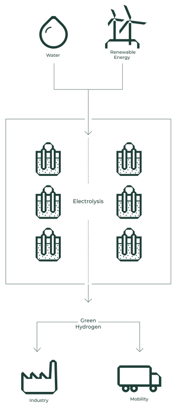 Creating ecosystems for large-scale impact